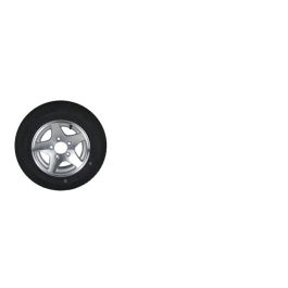 LOADSTAR 4.80x12 Trailer Tire with Aluminum 5-Star Wheel, Load Range B